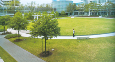 · Shenzhen Lin Technology Industrial Park Landscape Design